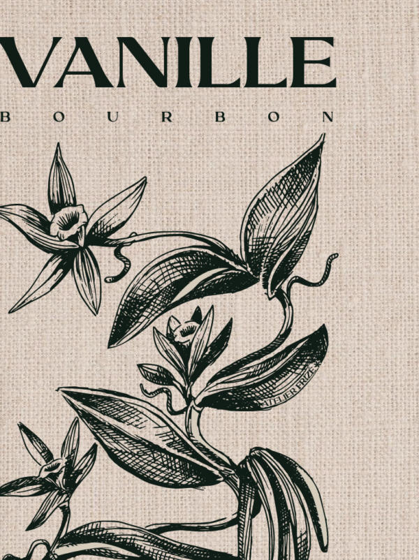 Vanille Bourbon – Image 2