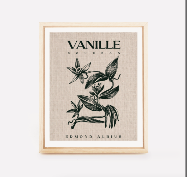 Vanille Bourbon