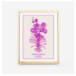 Orchidée jardin créole